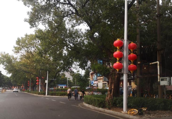 珠海前山街道春节氛围营造灯杆灯笼实景